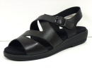12156 mephisto