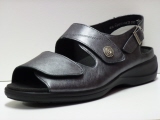 13212 gris solidus