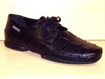 10162 mephisto